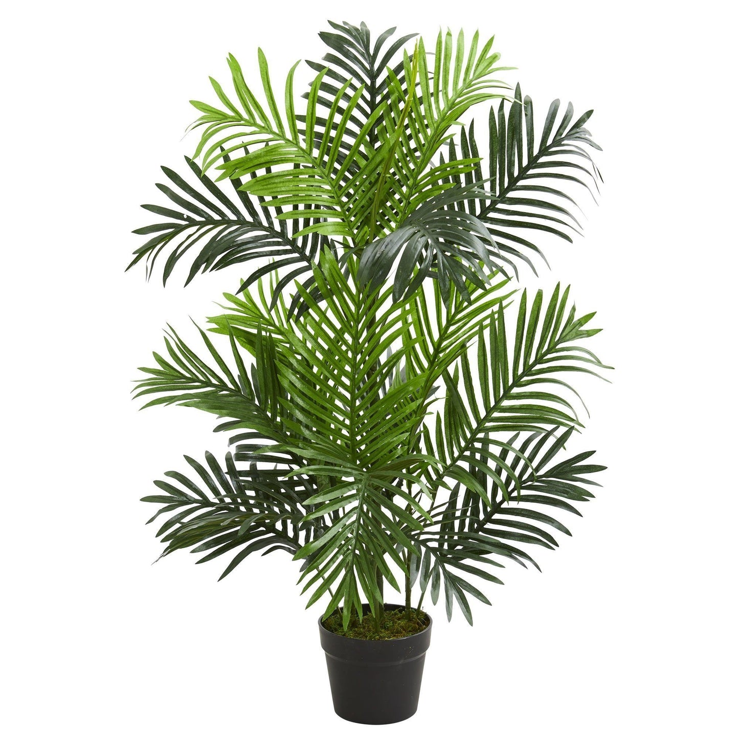 3’ Paradise Palm artificial tree Nearly Natural with green fronds in a black planter on Tampa Home & Garden Store
