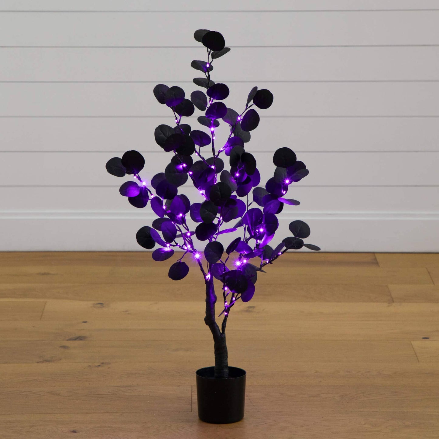 3' Pre-Lit Artificial Halloween Black Eucalyptus Tree with 80 orange and purple LEDs on Tampa Home & Garden Store
