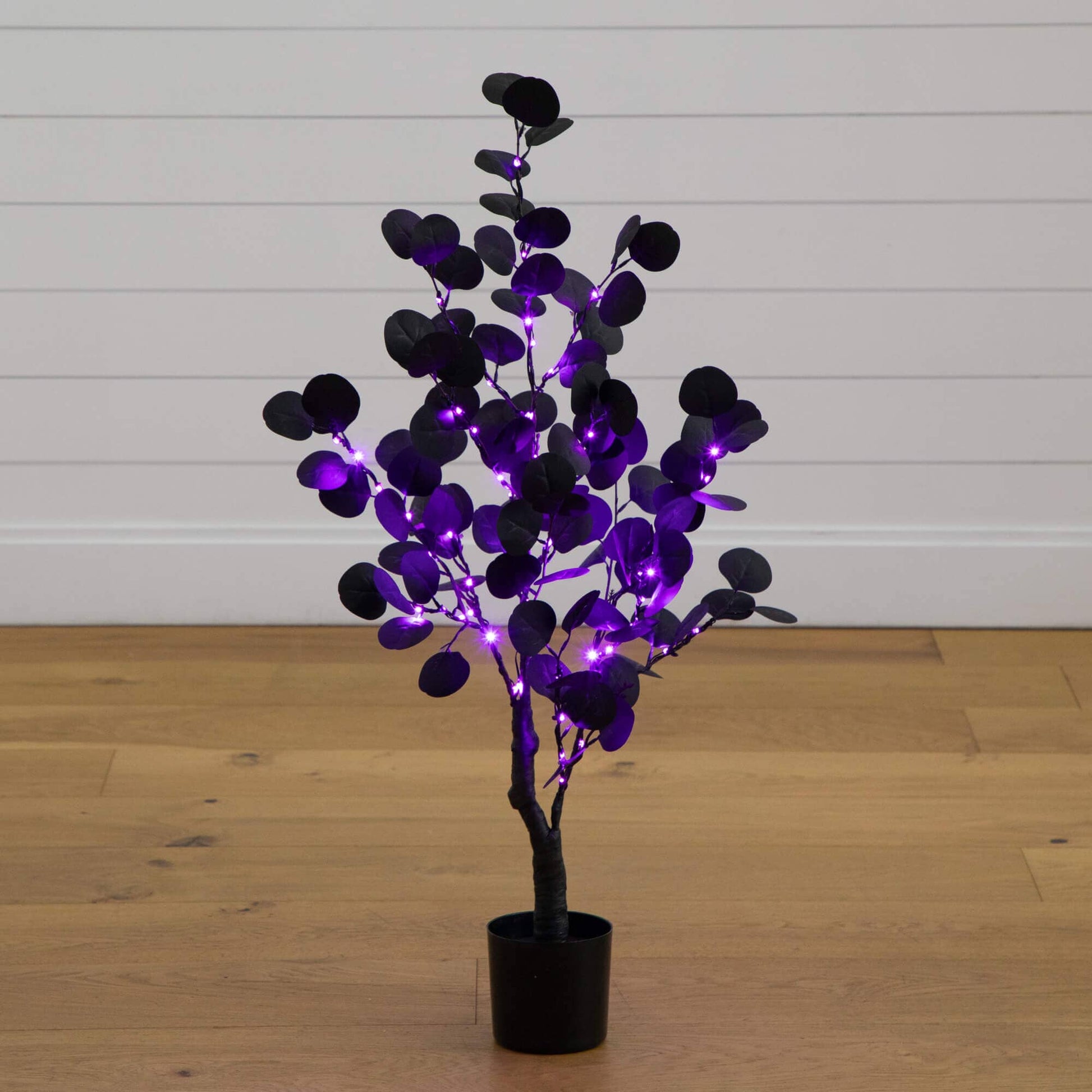 3' Pre-Lit Artificial Halloween Black Eucalyptus Tree with 80 orange and purple LEDs on Tampa Home & Garden Store