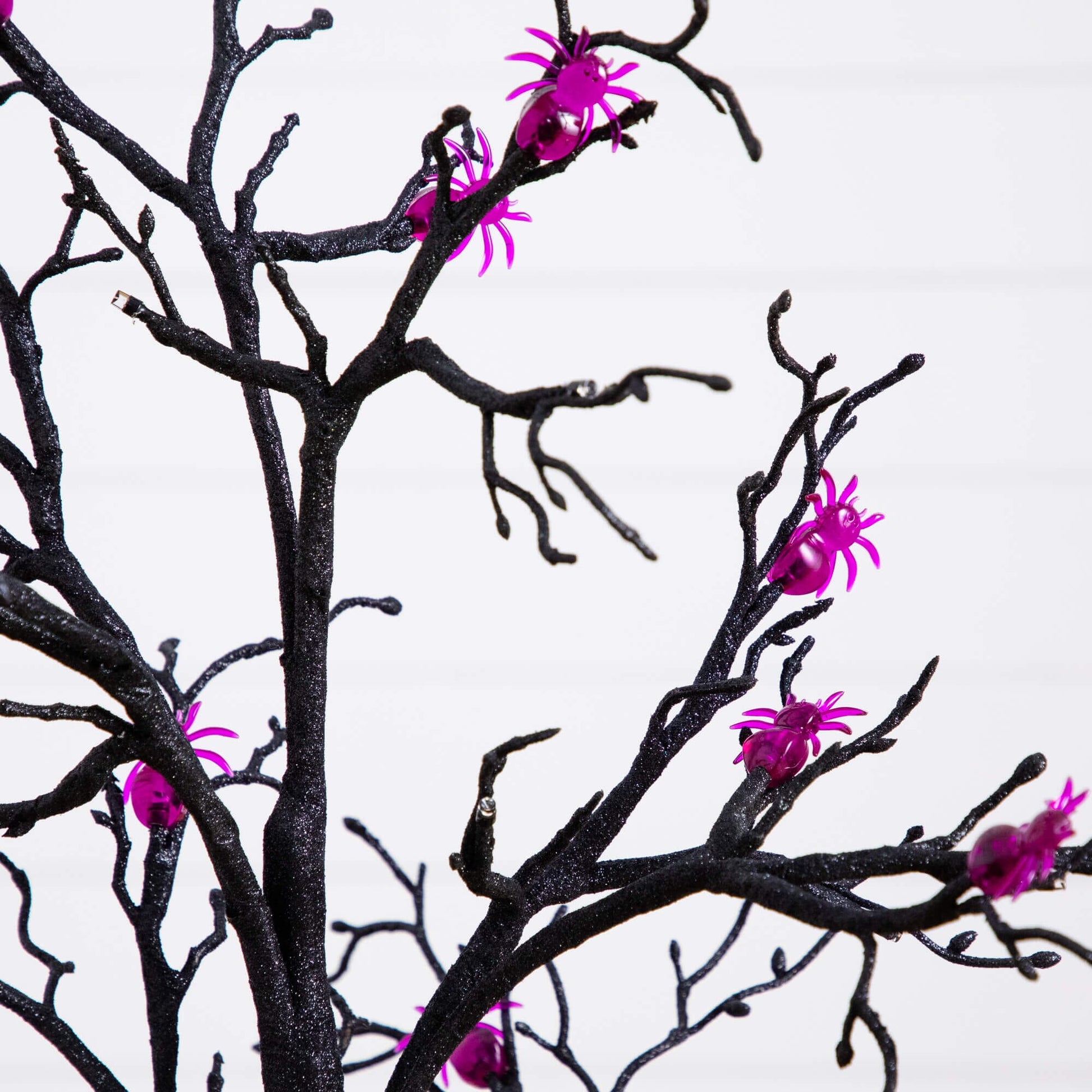 3' pre-lit Halloween spider twig tree with 36 purple LED lights on glittery black branches on Tampa Home & Garden Store