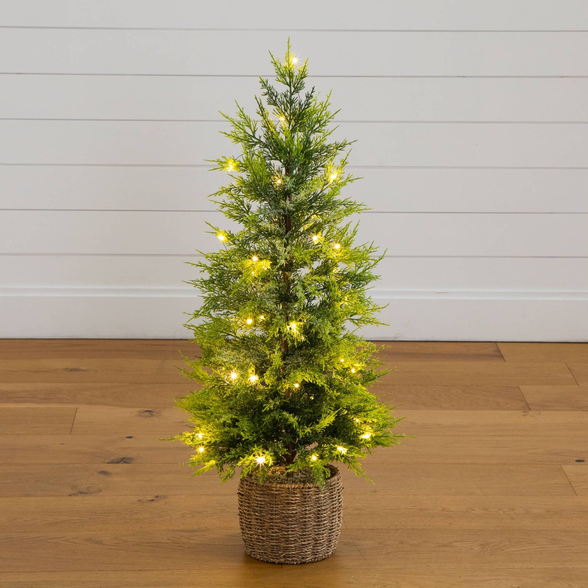 3 ft pre-lit Cypress Christmas Tree with 38 warm white LEDs in a decorative woven basket on Tampa Home & Garden Store