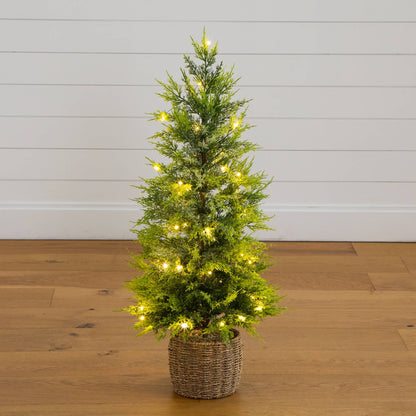 3 ft pre-lit Cypress Christmas Tree with 38 warm white LEDs in a decorative woven basket on Tampa Home & Garden Store