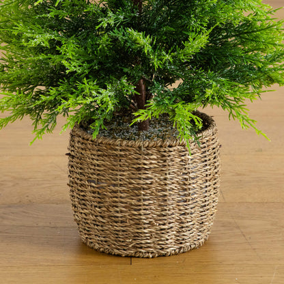 Nearly Natural 3' pre-lit Cypress Christmas Tree with 38 warm white LEDs in a woven basket on Tampa Home & Garden Store