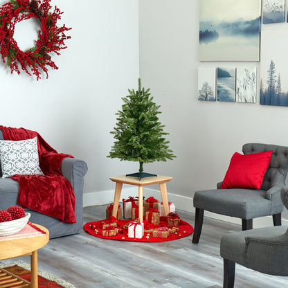 3' Snowed Grand Teton Fir Christmas Tree with 50 clear lights and 111 bendable branches on Tampa Home & Garden Store