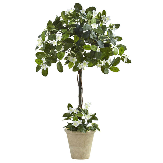 3’ Stephanotis Topiary w/Planter - Tampa Home & Garden Store