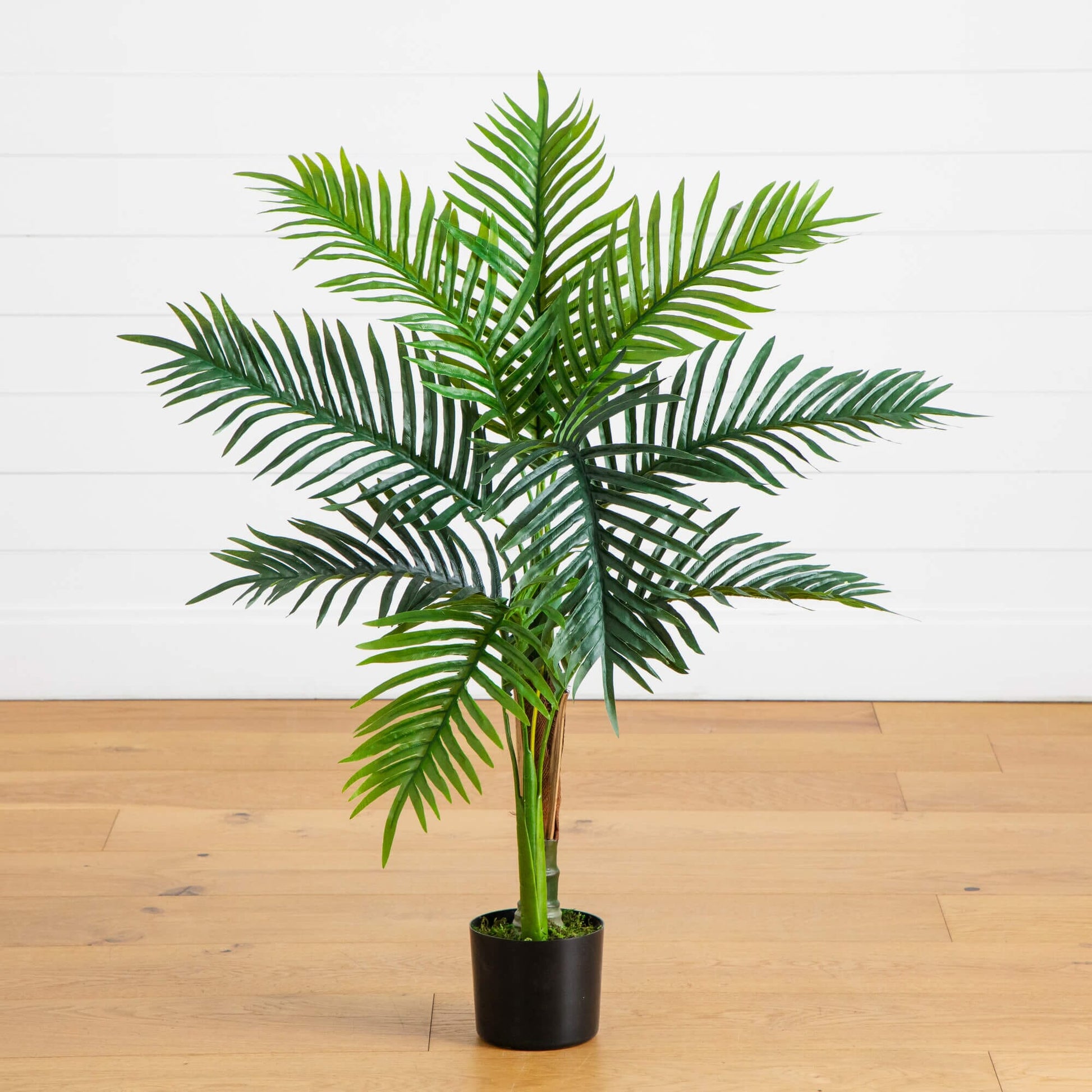 Artificial 3' UV‑resistant double Robellini palm tree by Nearly Natural in a black pot on Tampa Home & Garden Store