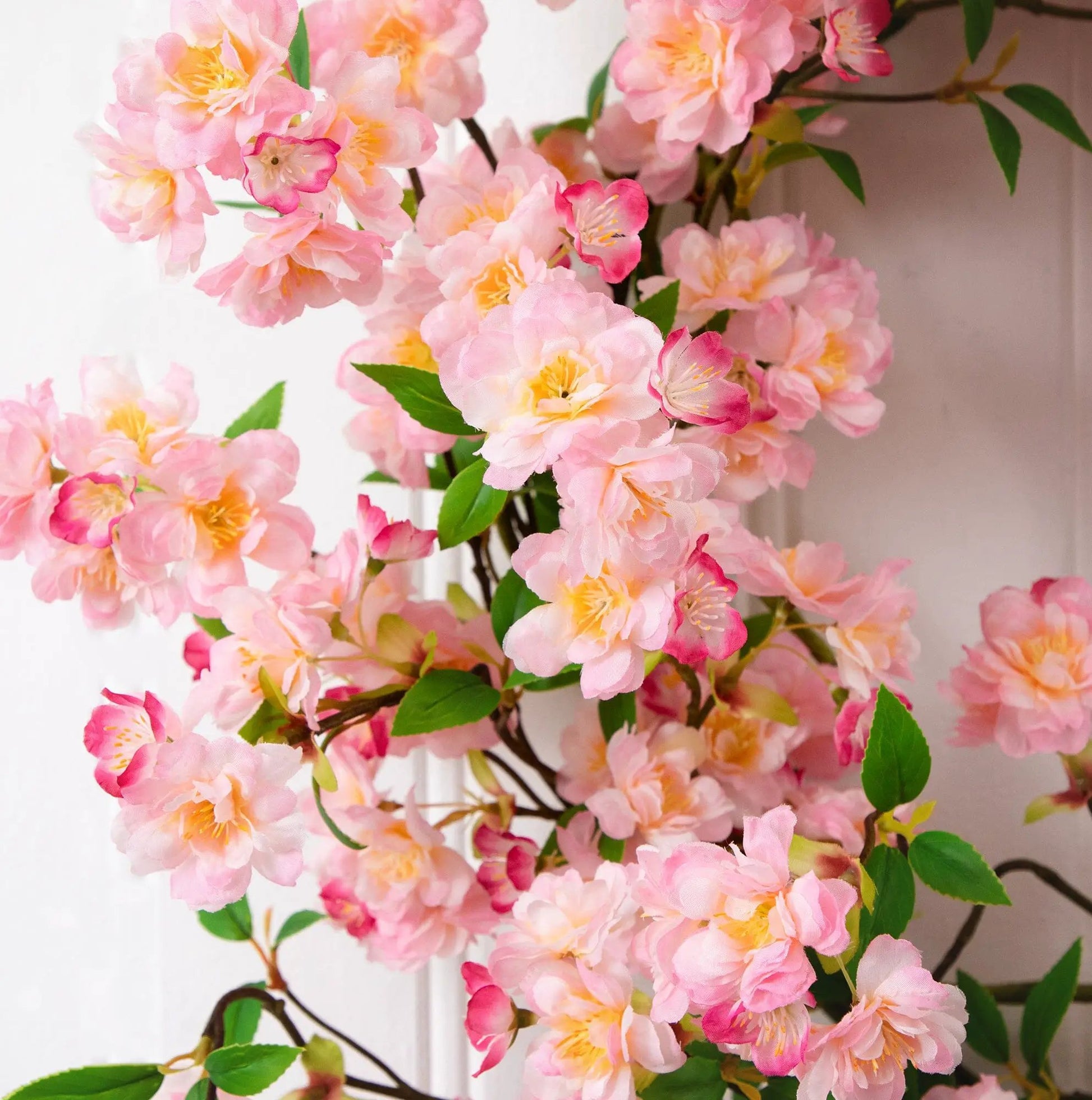 - image on Tampa Home & Garden Store