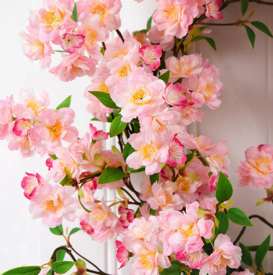 - image on Tampa Home & Garden Store
