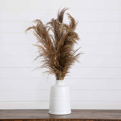 Dried Natural Pampas Arrangement in Ceramic Vase