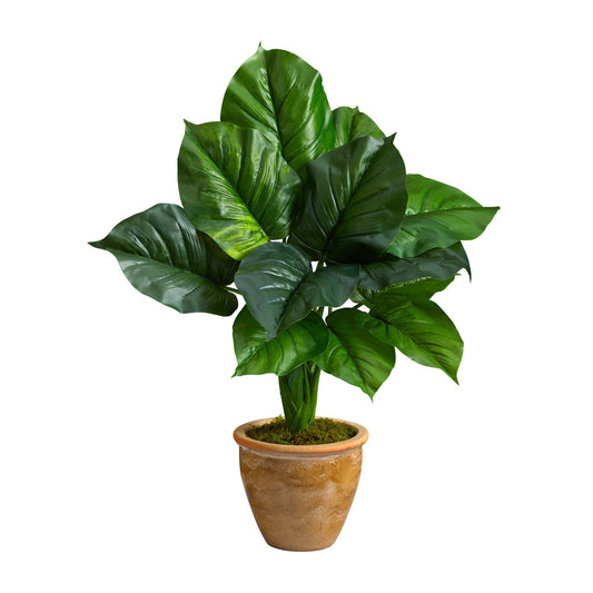 30in Philodendron leaf artificial plant in decorative terracotta planter by Nearly Natural on Tampa Home & Garden Store