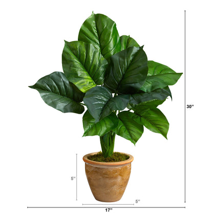 Philodendron leaf artificial plant in decorative terracotta planter, 30-inch Nearly Natural on Tampa Home & Garden Store
