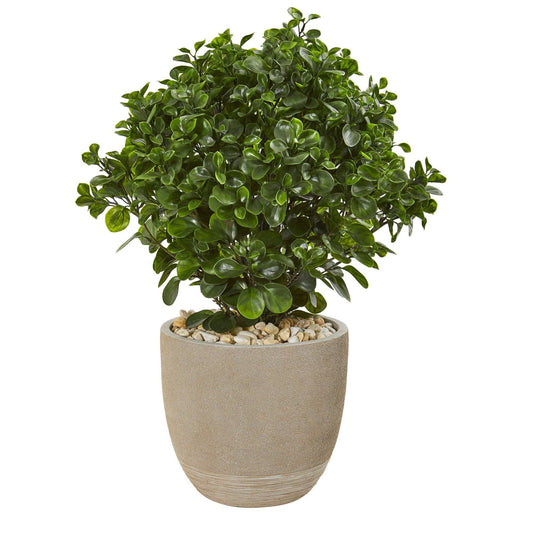 30in Peperomia artificial plant in sand stone planter with green leaves Nearly Natural on Tampa Home & Garden Store