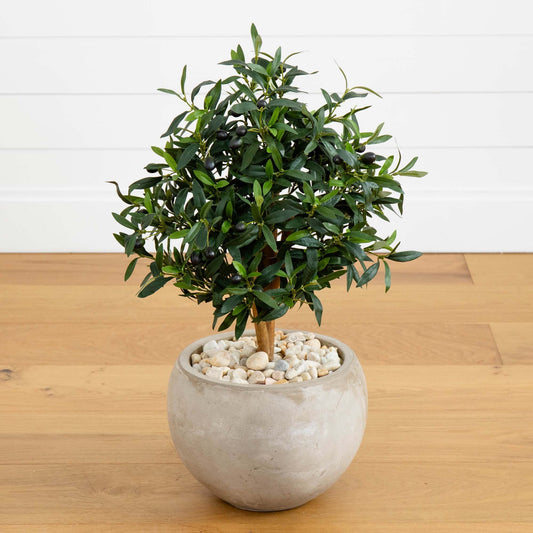 Olive Artificial Tree 31in in Bowl Planter by Nearly Natural with pebble fill on Tampa Home & Garden Store