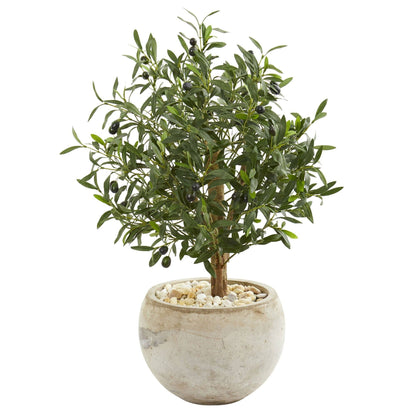 31-inch Olive Artificial Tree in Bowl Planter by Nearly Natural with leaves and olives on Tampa Home & Garden Store
