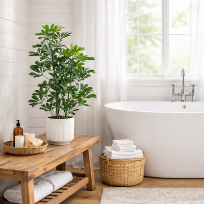 Nearly Natural 31” UV Resistant Schefflera tree in white decorative planter, indoor/outdoor on Tampa Home & Garden Store