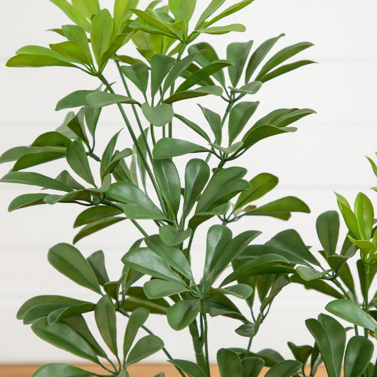 Artificial Schefflera tree by Nearly Natural with green leaves on Tampa Home & Garden Store