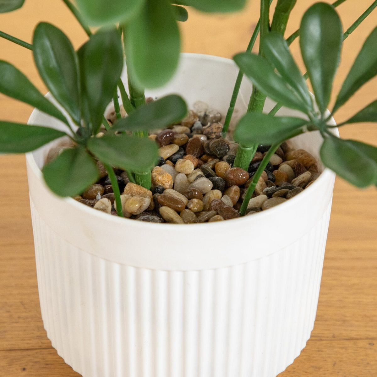 31in UV-resistant artificial Schefflera tree in white decorative planter with multicolor pebbles on Tampa Home & Garden Store