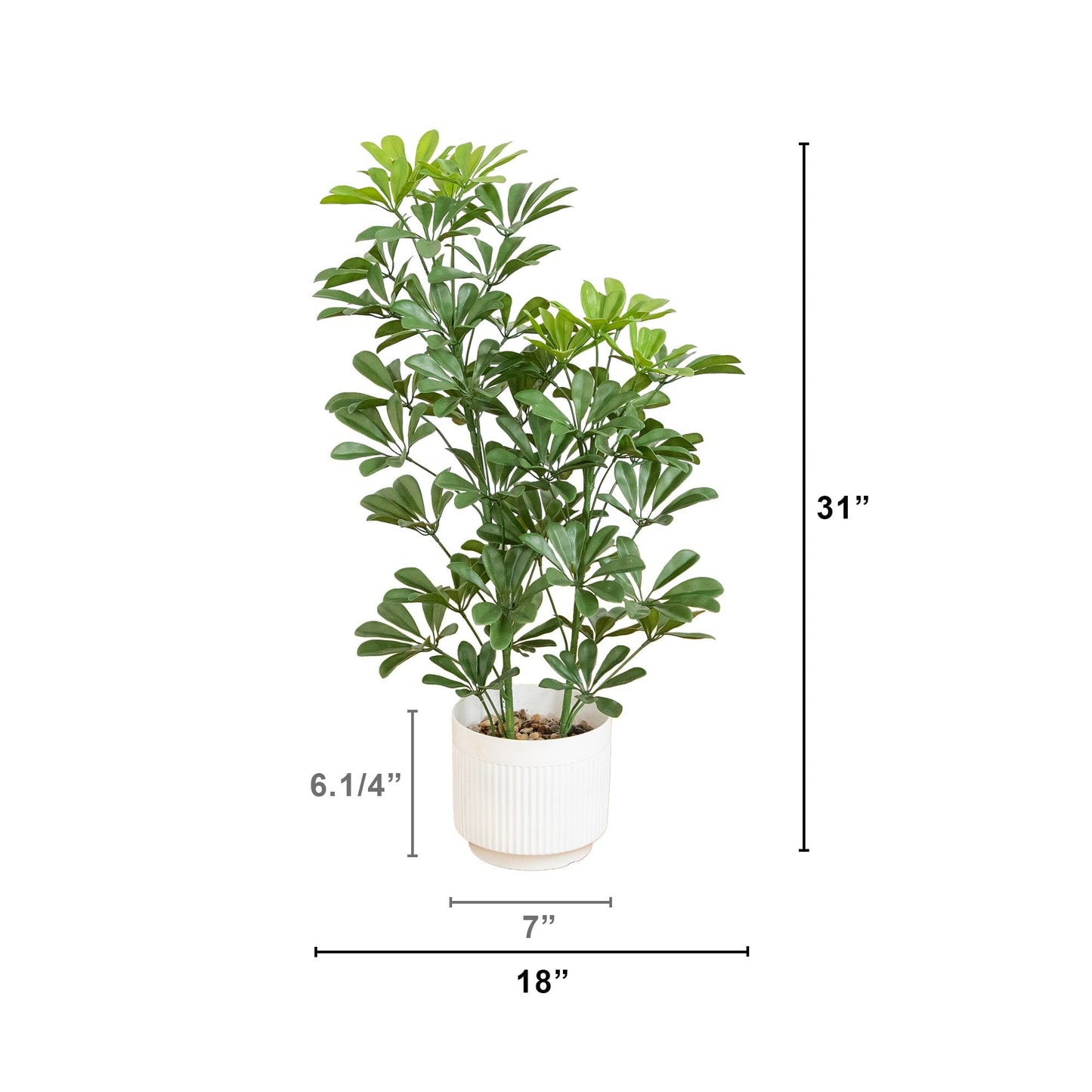 Artificial Schefflera tree in white ribbed planter, 31in UV resistant by Nearly Natural on Tampa Home & Garden Store