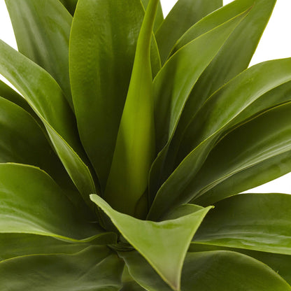 32” Agave Plant w/Stem by Nearly Natural, vivid green succulent leaves close-up on Tampa Home & Garden Store