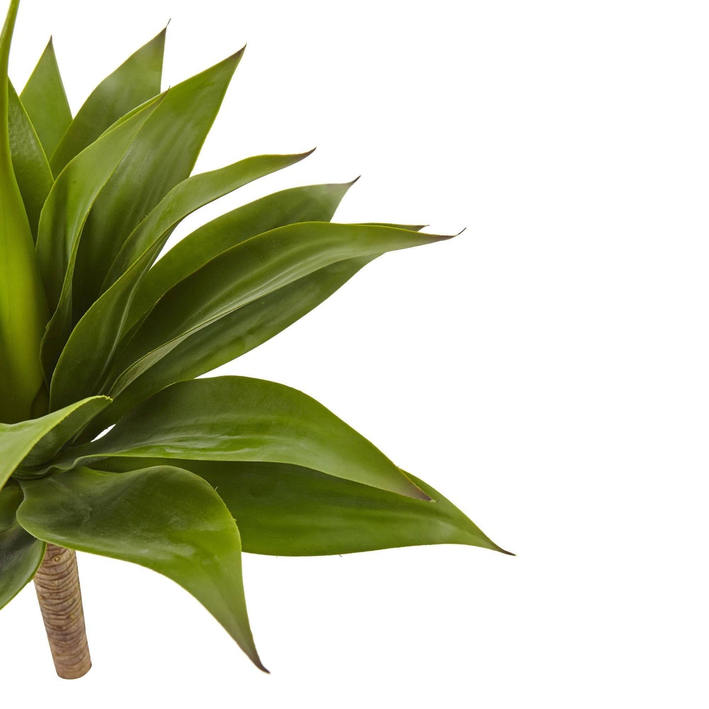 32” Agave Plant w/ Stem by Nearly Natural, rich green leaves on Tampa Home & Garden Store