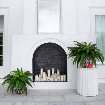 32” artificial double Boston fern in Talavera ceramic planter by Nearly Natural on Tampa Home & Garden Store