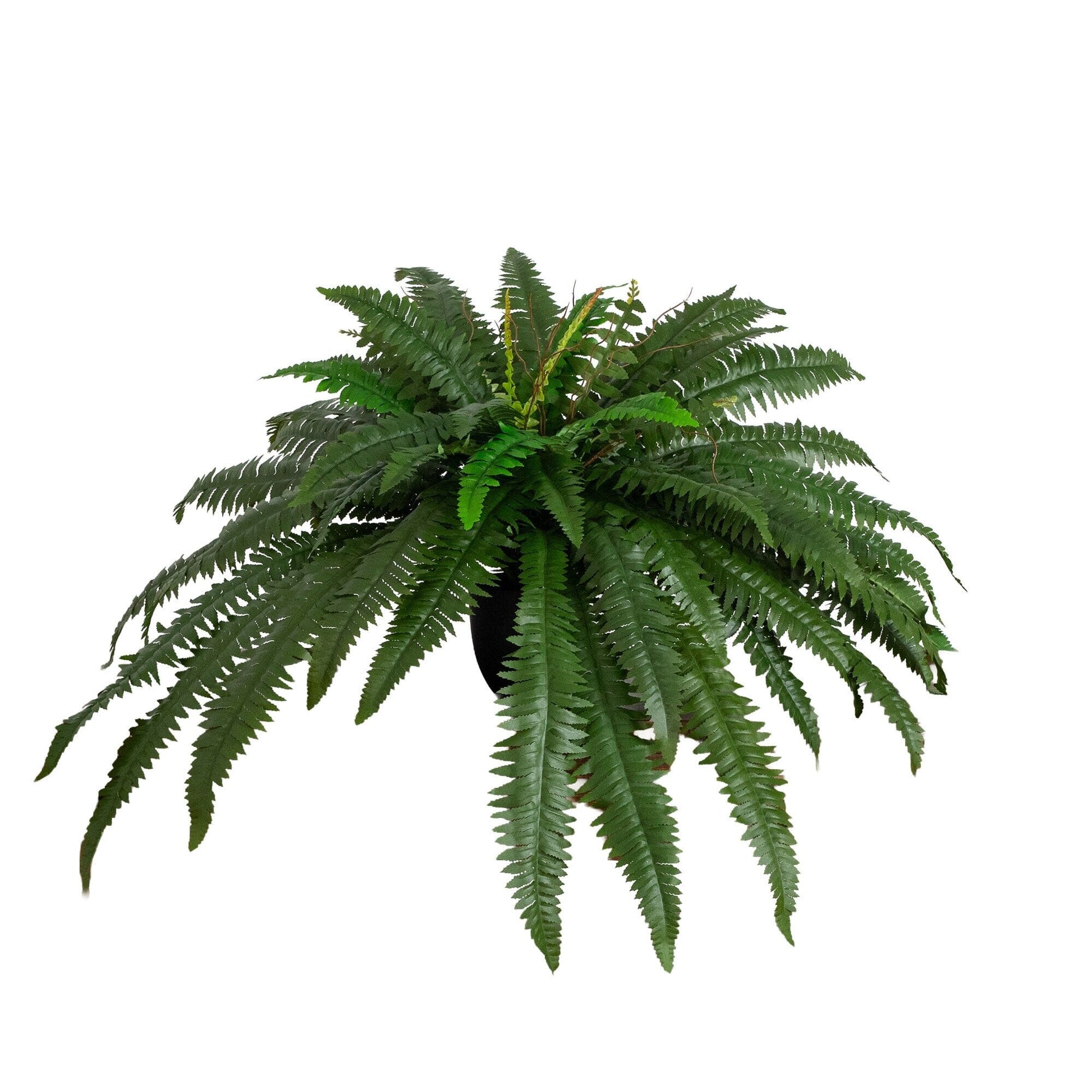 32-inch Artificial Self-Shaped Boston Fern Plant in Black Planter by Nearly Natural on Tampa Home & Garden Store