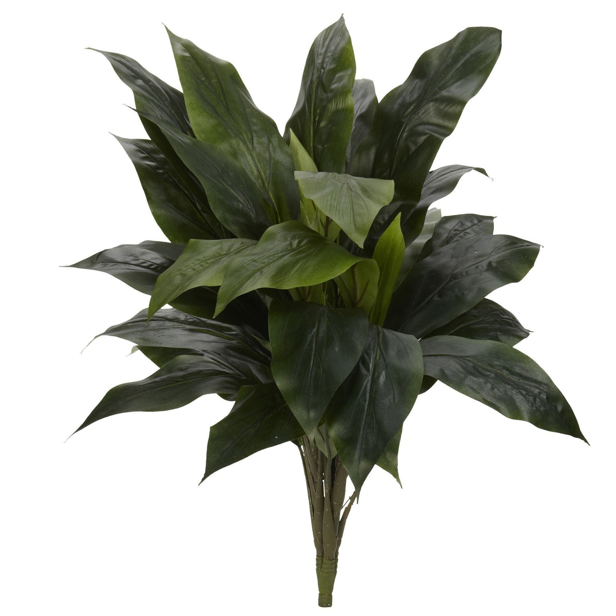 Cordyline artificial plant set of 3, 32in tall, green glossy leaves by Nearly Natural on Tampa Home & Garden Store