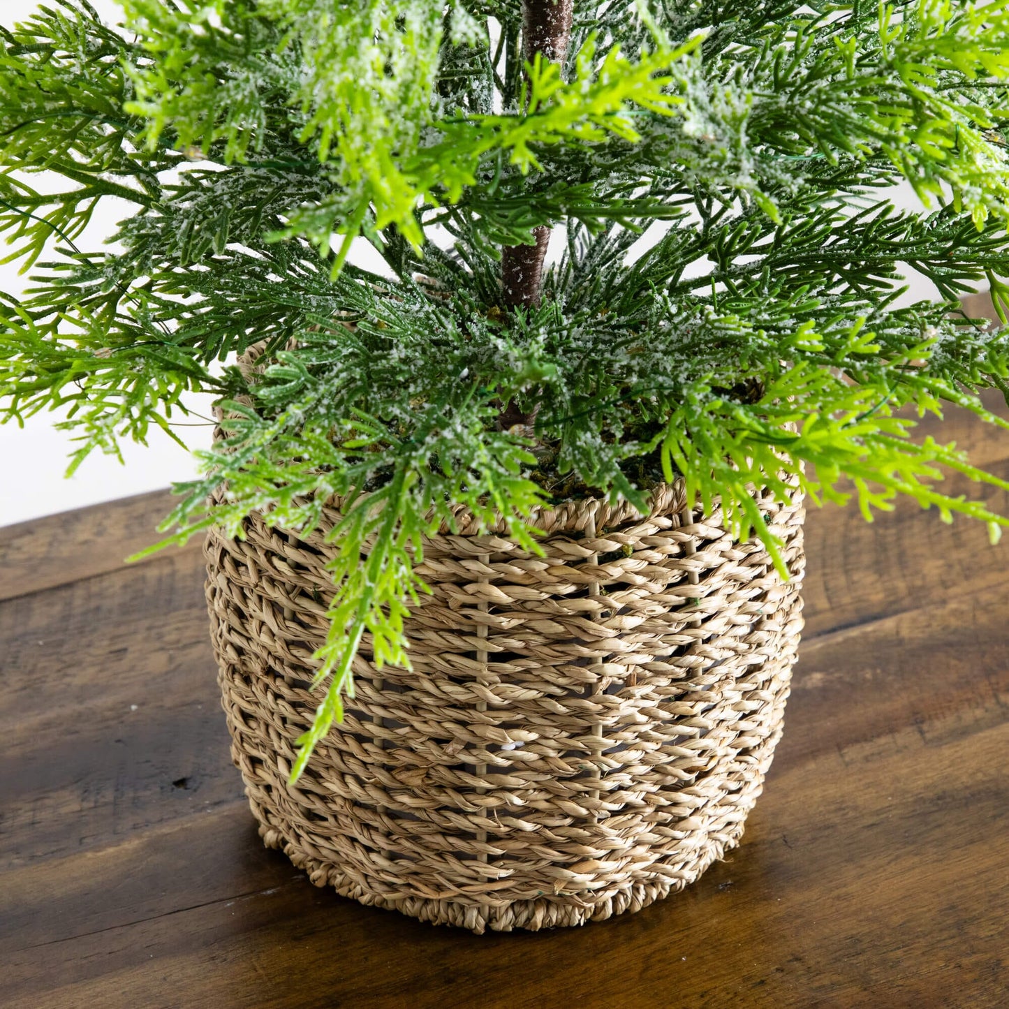 32in pre-lit artificial cypress Christmas tree with snowed needles in a woven basket on Tampa Home & Garden Store
