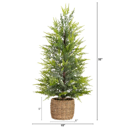 32in pre-lit cypress Christmas tree with 30 warm white LED lights in a weaved basket on Tampa Home & Garden Store