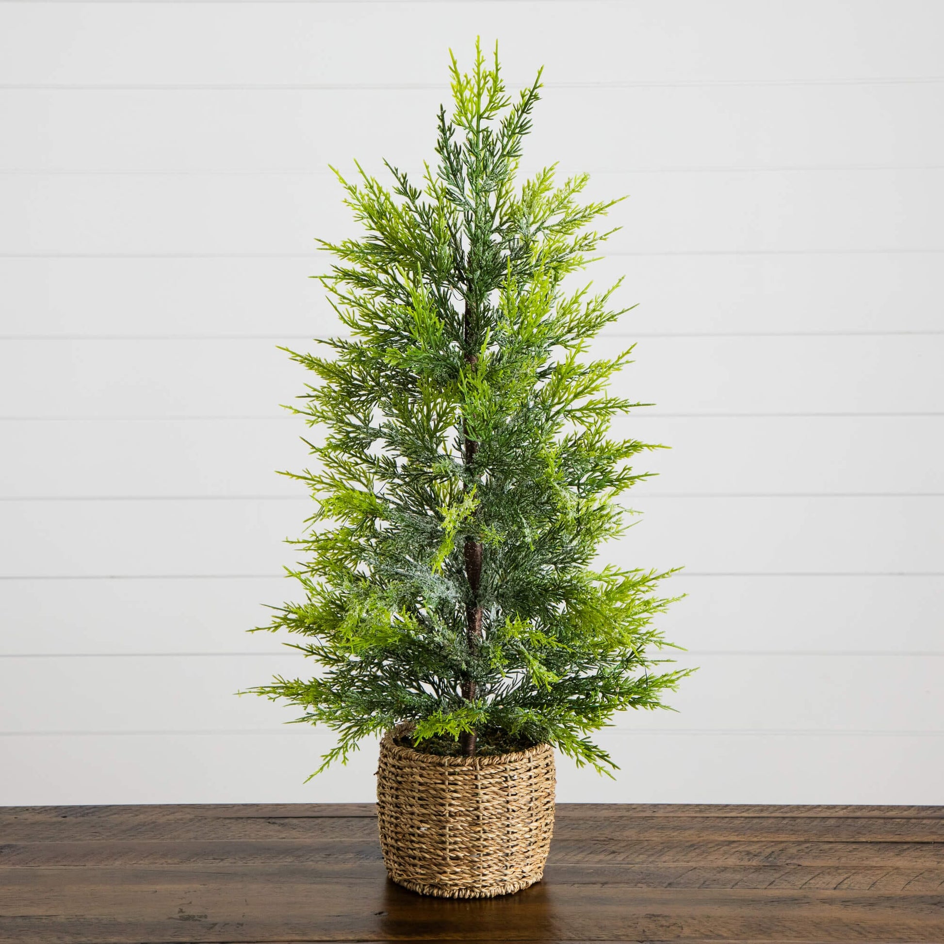 32in Nearly Natural pre-lit Cypress Christmas Tree in a woven basket with snowed tips on Tampa Home & Garden Store