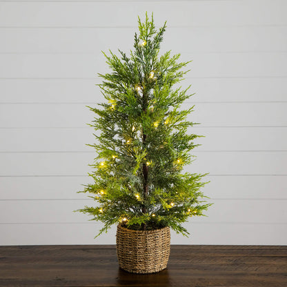 32in Pre-Lit Lightly Snowed Cypress Christmas Tree with 30 warm white LEDs in a woven basket on Tampa Home & Garden Store