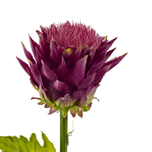 33” Tropical artificial flower stem magenta protea bloom by Nearly Natural on Tampa Home & Garden Store