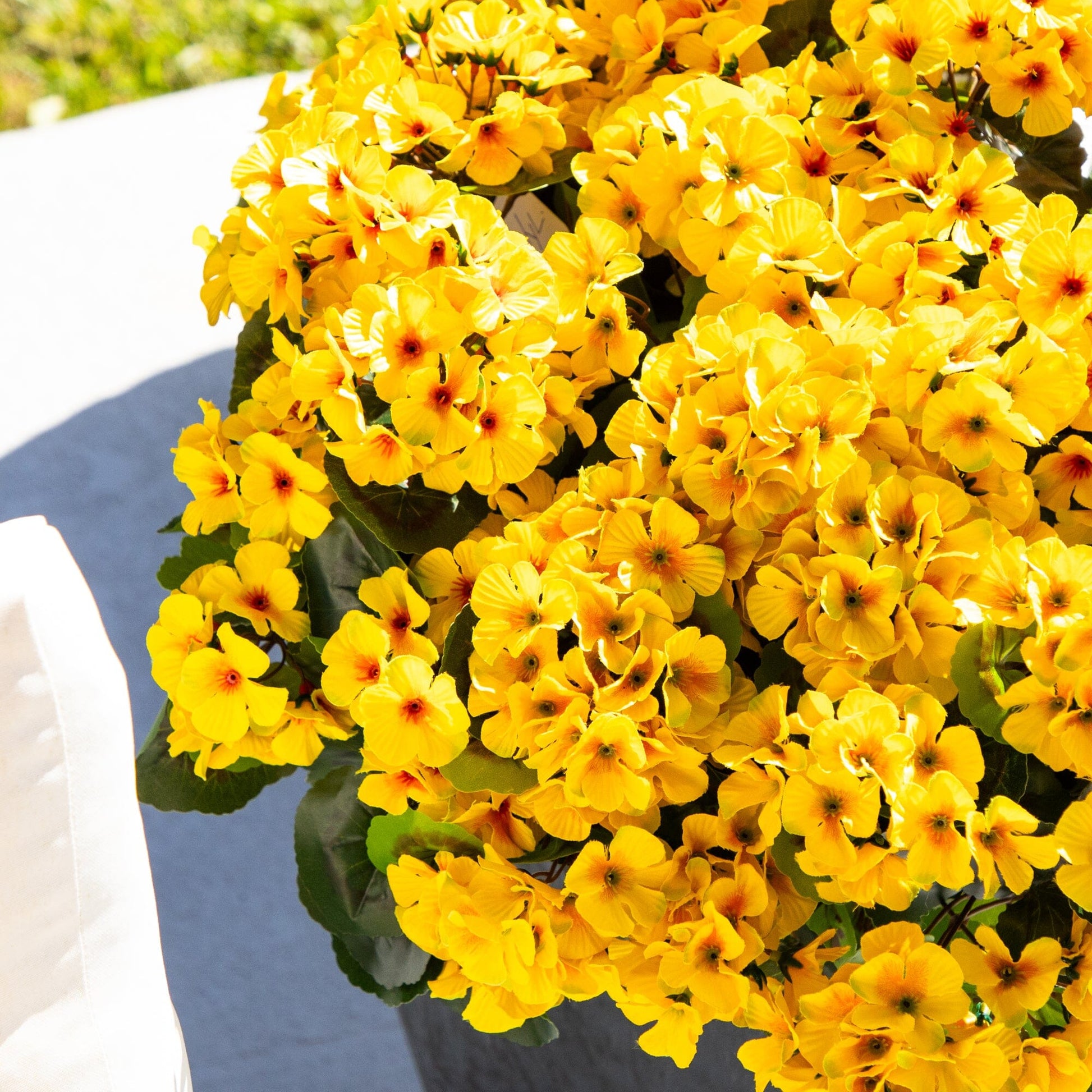 Geranium plant in slate ceramic planter UV resistant Nearly Natural yellow blooms on Tampa Home & Garden Store