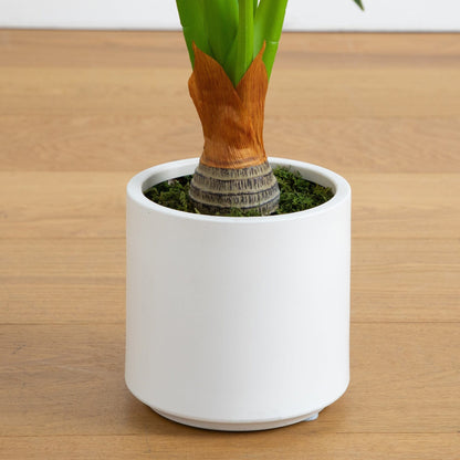 Artificial Arrowhead Plant in the White Planter