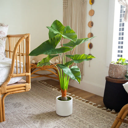 Artificial Arrowhead Plant in the White Planter