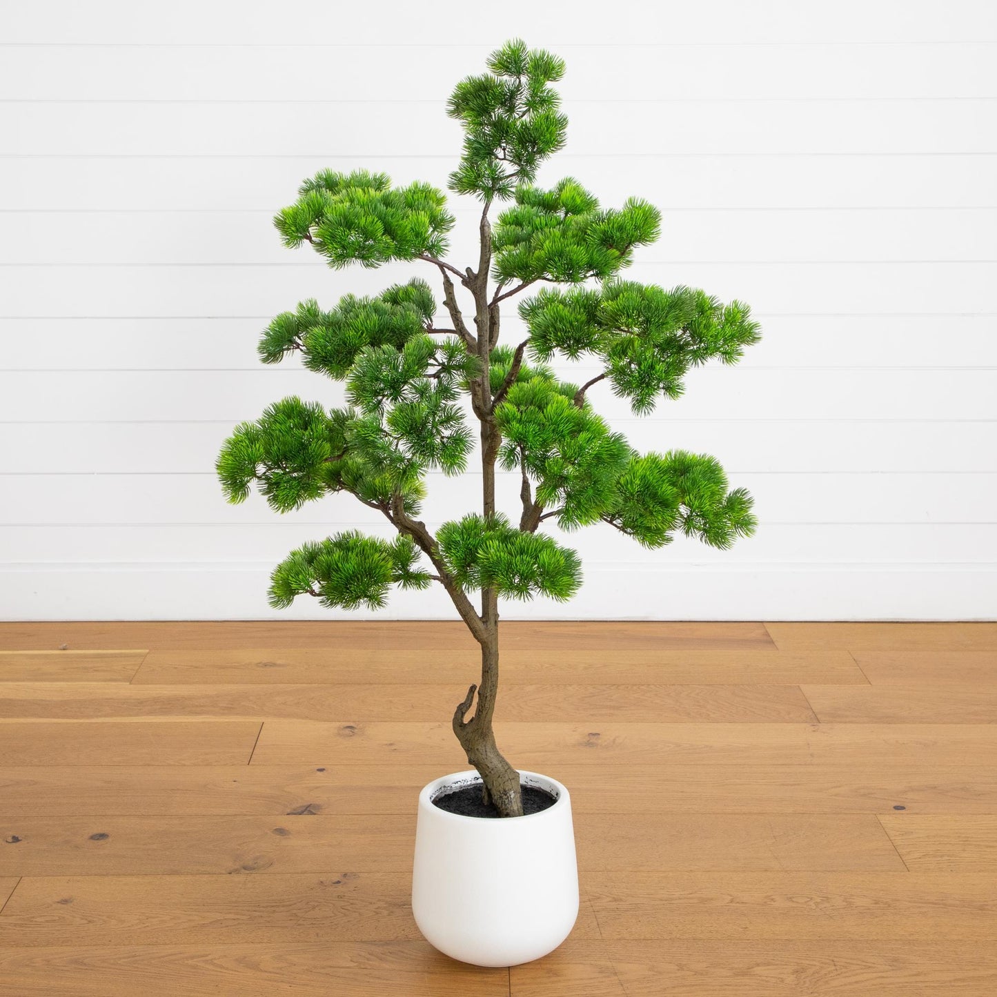 3.5' artificial bonsai cedar tree in white decorative planter with green foliage Nearly Natural on Tampa Home & Garden Store