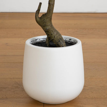 3.5' artificial cedar bonsai tree in white decorative planter on Tampa Home & Garden Store