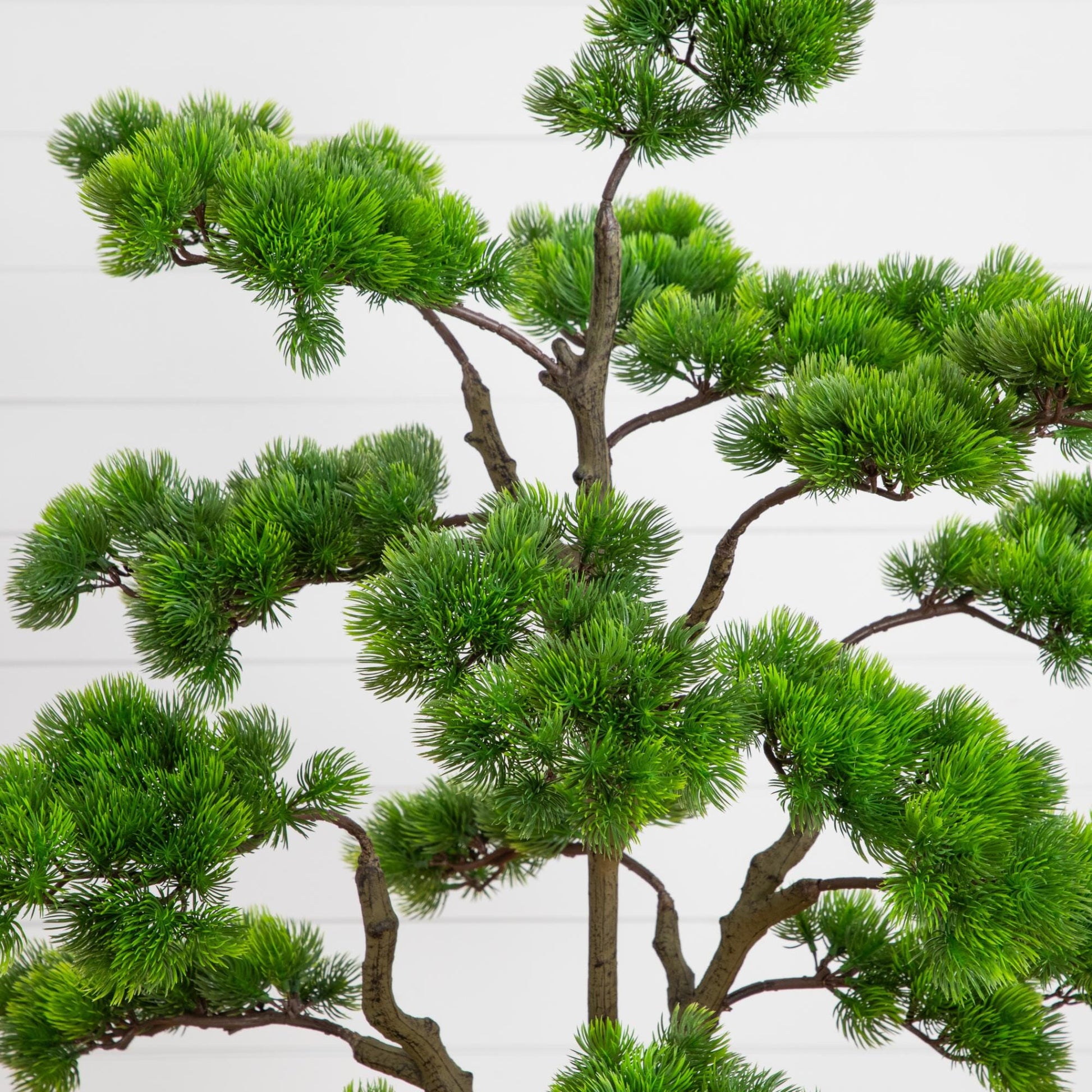 3.5' artificial bonsai cedar tree with bright green foliage in a decorative white planter on Tampa Home & Garden Store
