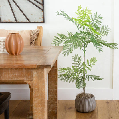 3.5' Nearly Natural Jacaranda tree with green leaves in a brown pot on Tampa Home & Garden Store