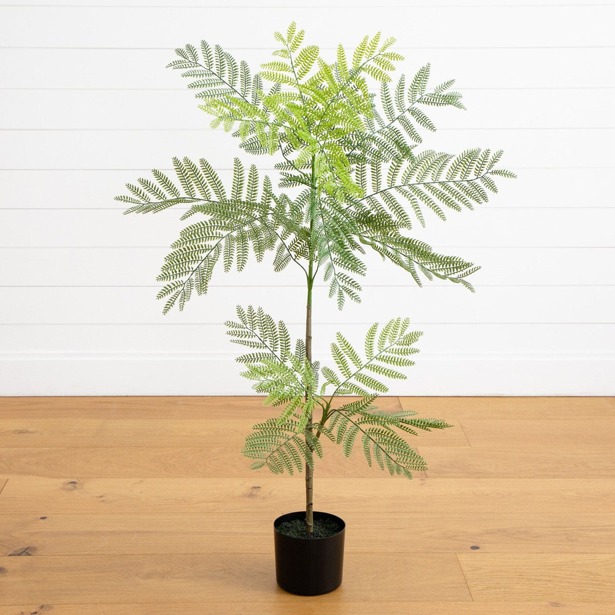 3.5' Artificial Minimalist Jacaranda Tree by Nearly Natural in black pot on Tampa Home & Garden Store