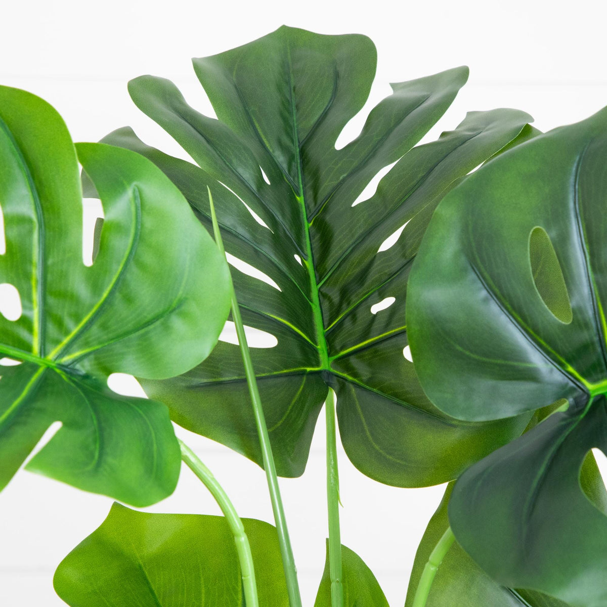 3.5' Artificial Monstera Tree by Nearly Natural with large green leaves on Tampa Home & Garden Store