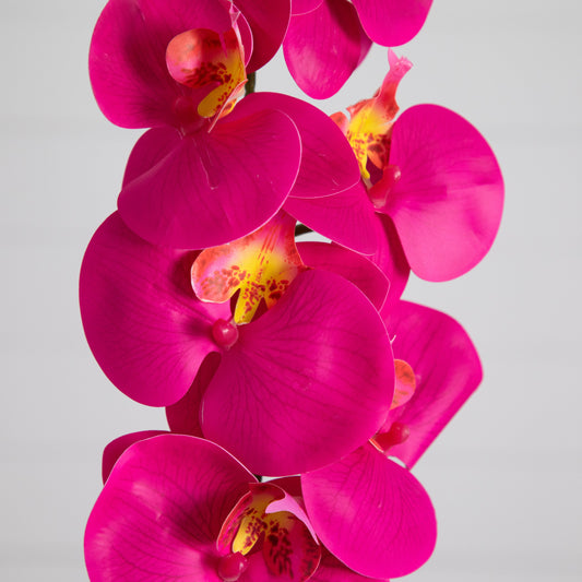 35in artificial orchid stems set of 3, Nearly Natural, vibrant pink blooms on Tampa Home & Garden Store