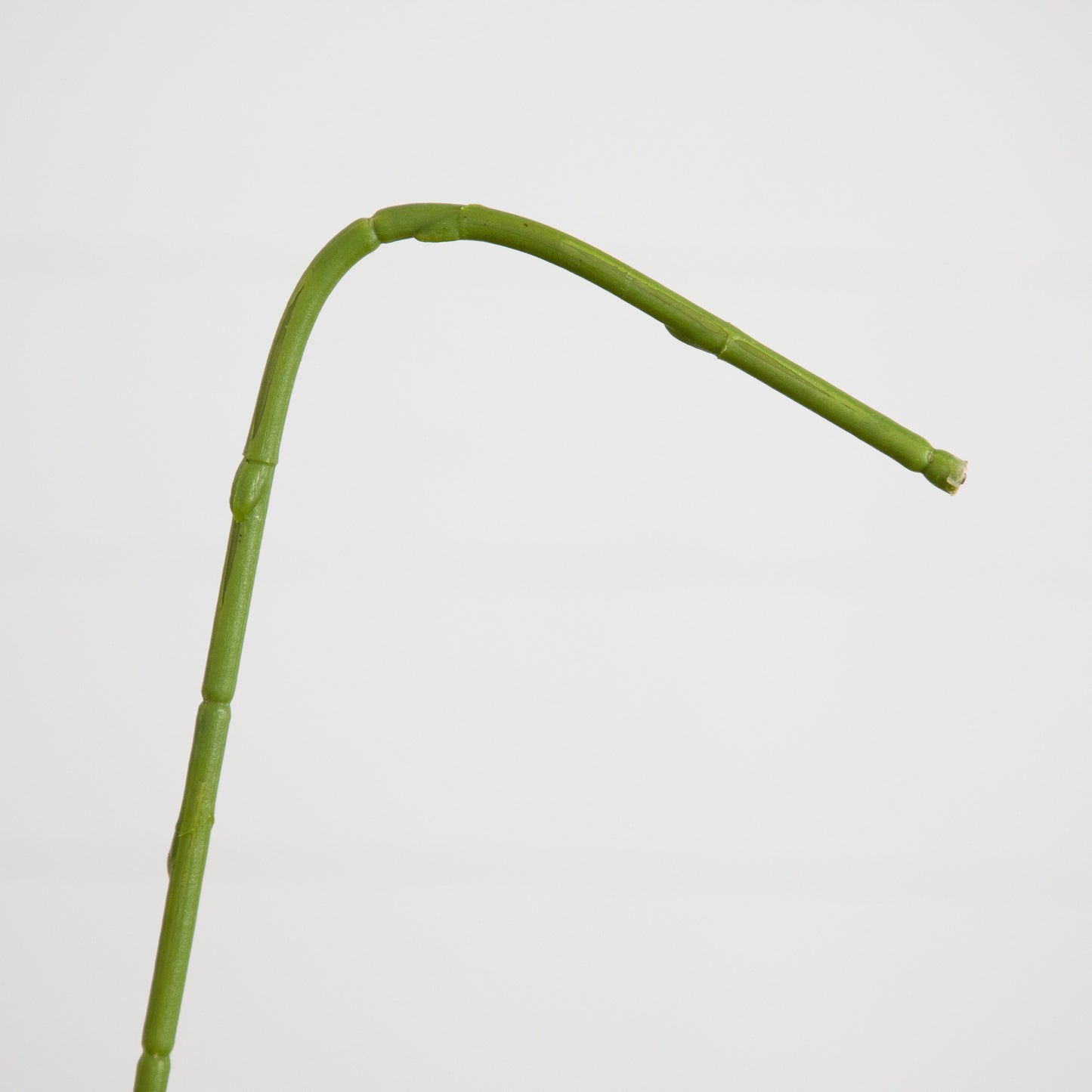 Nearly Natural 35in green artificial orchid stem on Tampa Home & Garden Store