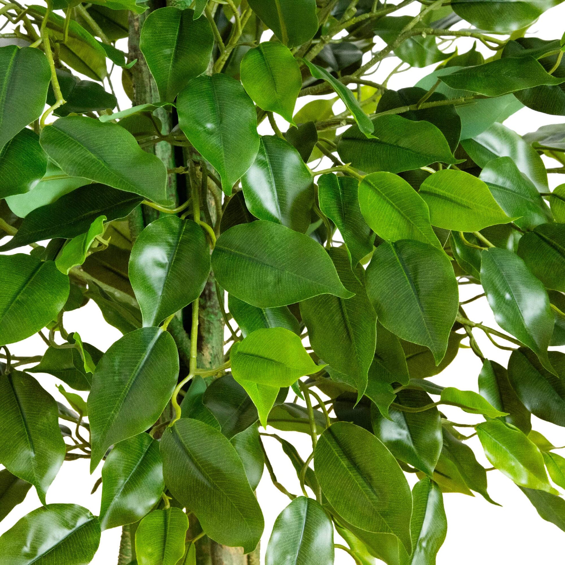 3.5' UV resistant artificial ficus tree Nearly Natural with green leaves on Tampa Home & Garden Store