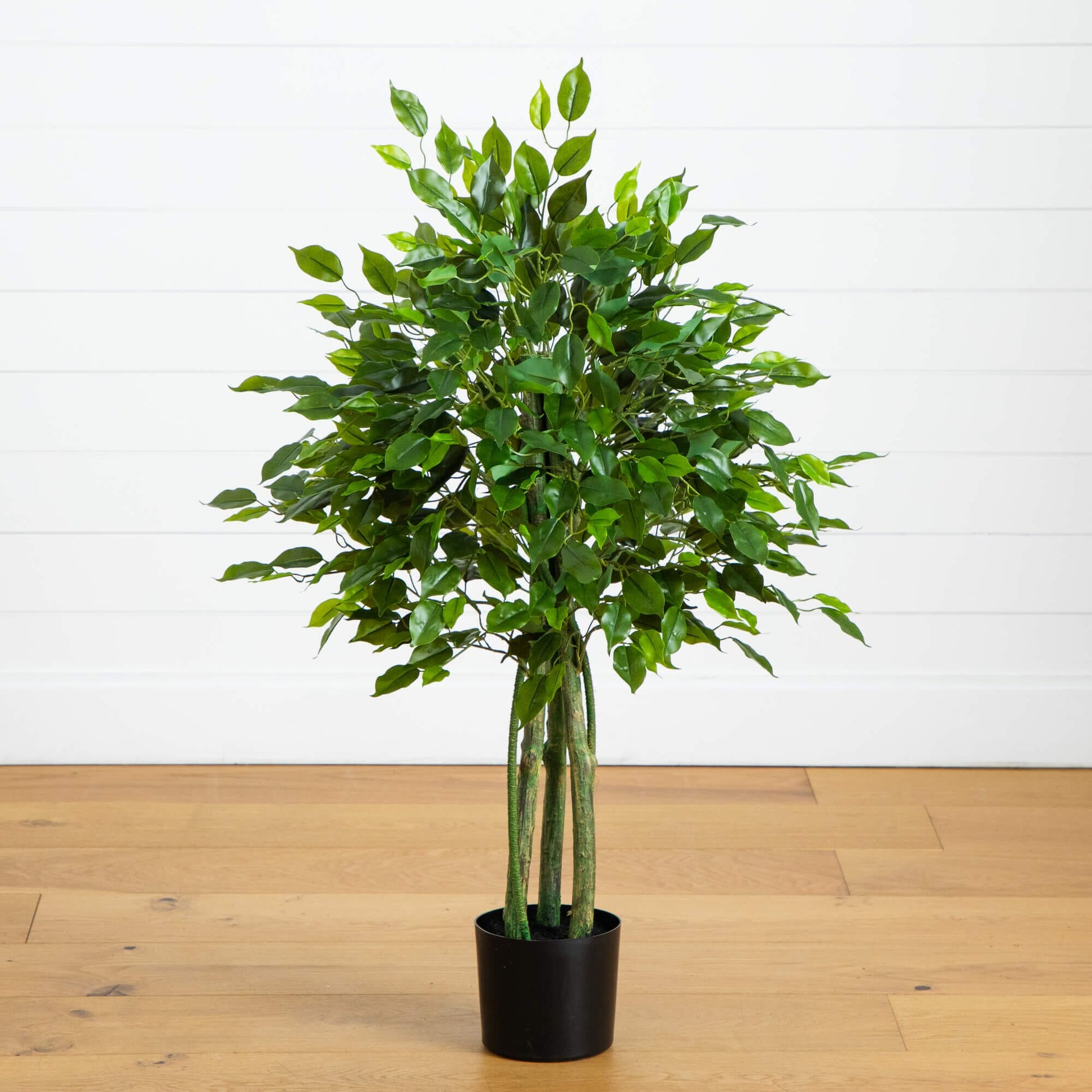3.5' UV Resistant Artificial Ficus Tree by Nearly Natural with green leaves in a planter on Tampa Home & Garden Store