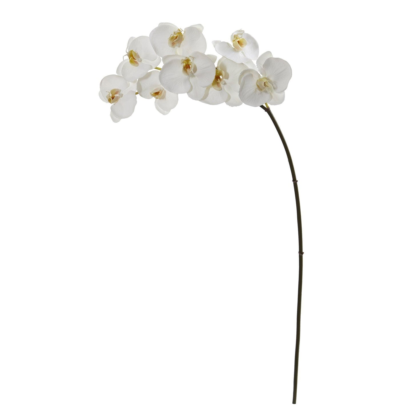 35in Phalaenopsis orchid artificial stem with 6 white blooms Nearly Natural on Tampa Home & Garden Store