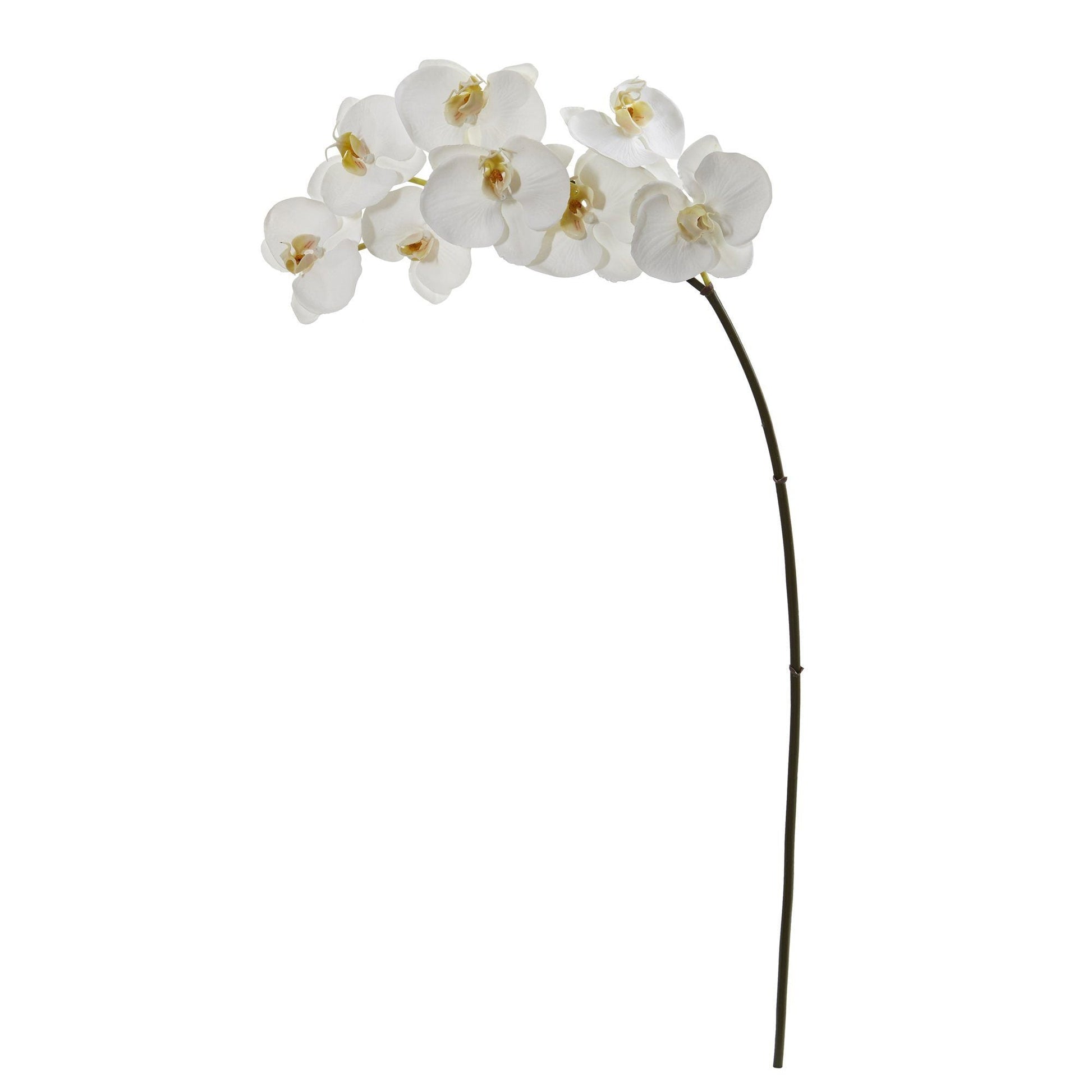 35in Phalaenopsis orchid artificial stem with 6 white blooms Nearly Natural on Tampa Home & Garden Store