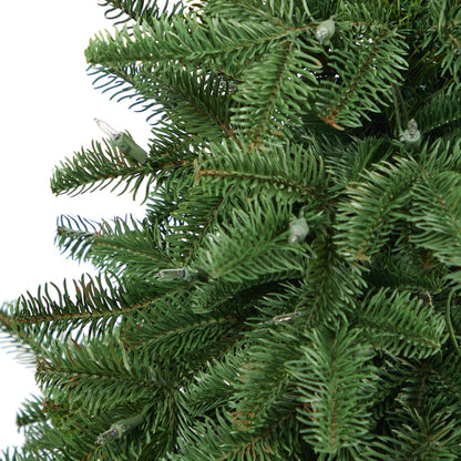 3.5ft South Carolina Spruce Christmas tree with bendable branches and 100 warm white lights on Tampa Home & Garden Store