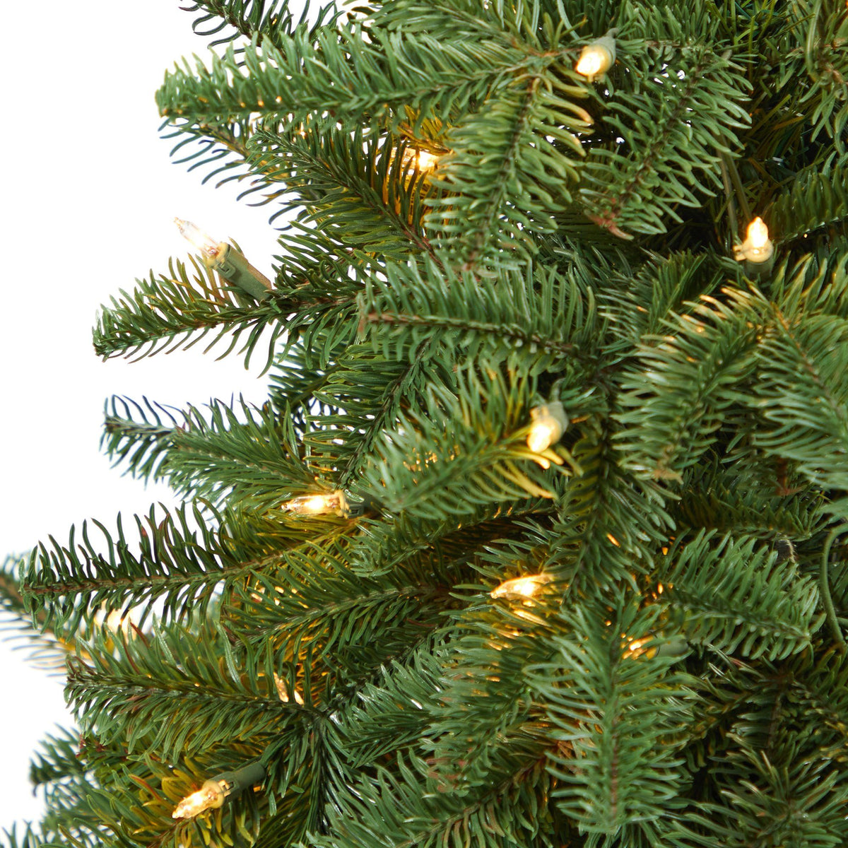 3.5 ft South Carolina Spruce artificial Christmas tree with 100 white warm lights on Tampa Home & Garden Store