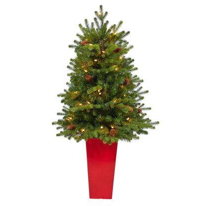 3.5 ft Yukon Mountain Fir Christmas tree with 50 clear lights and pine cones in red planter on Tampa Home & Garden Store
